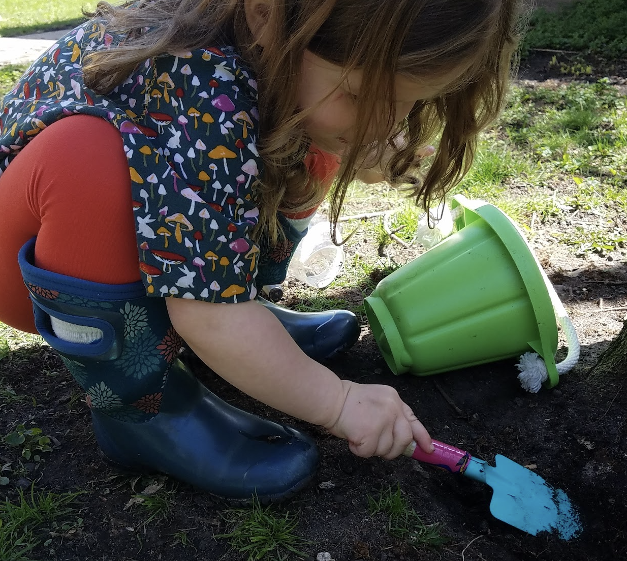 Nature school activity